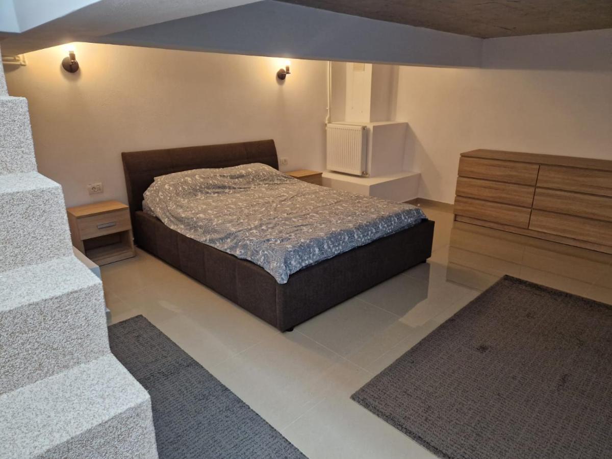 Danube Apartment Braila Bagian luar foto