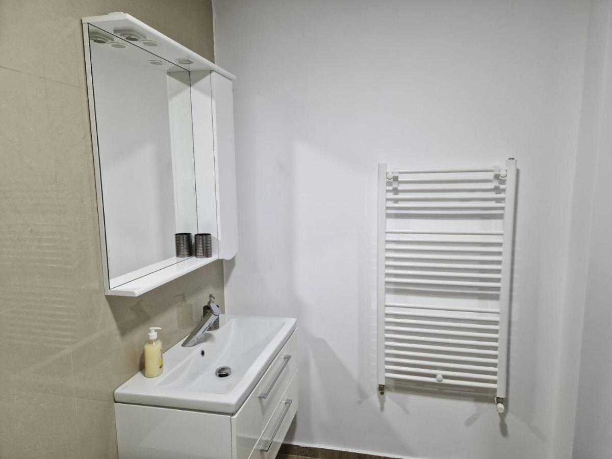 Danube Apartment Braila Bagian luar foto