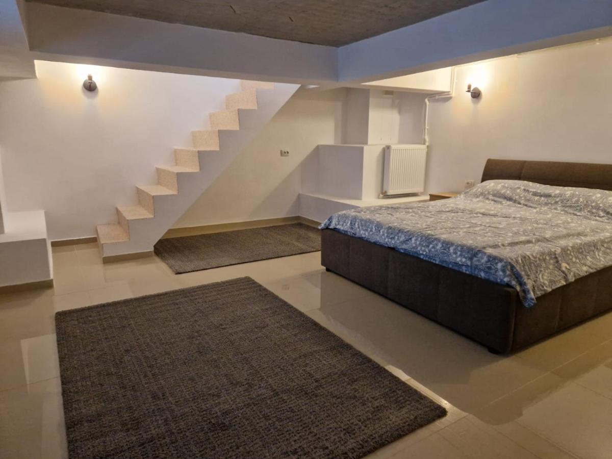 Danube Apartment Braila Bagian luar foto