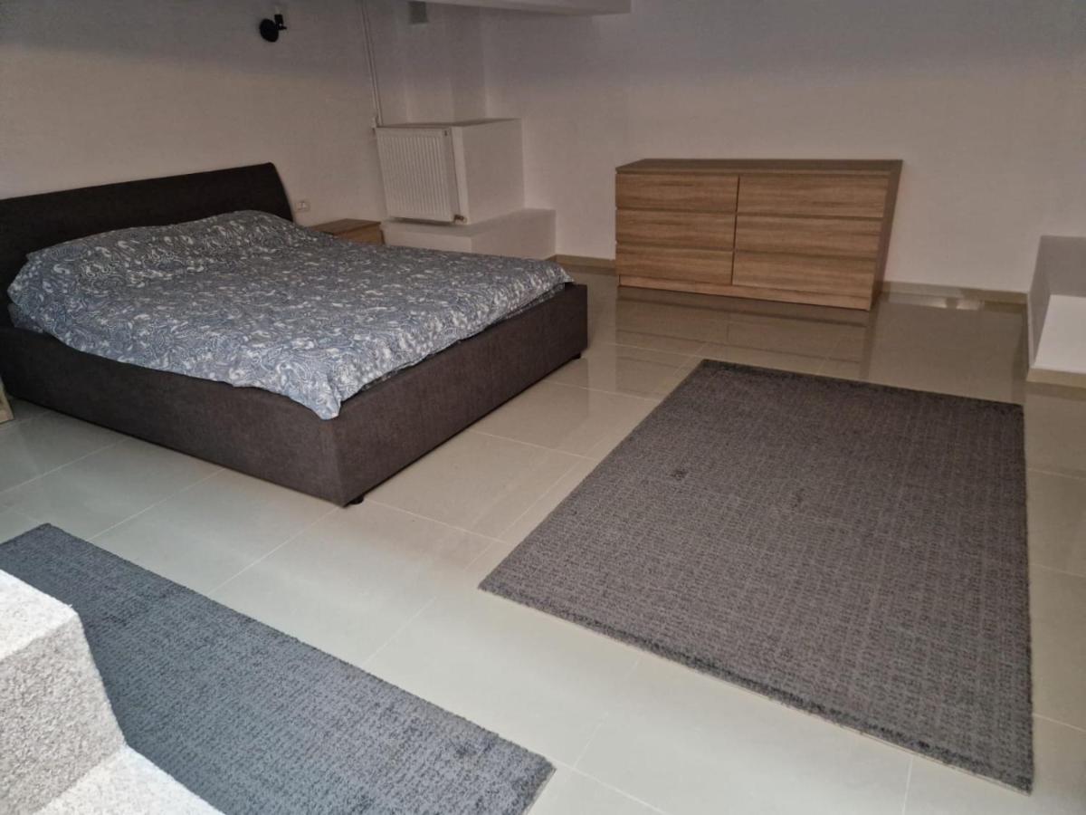 Danube Apartment Braila Bagian luar foto
